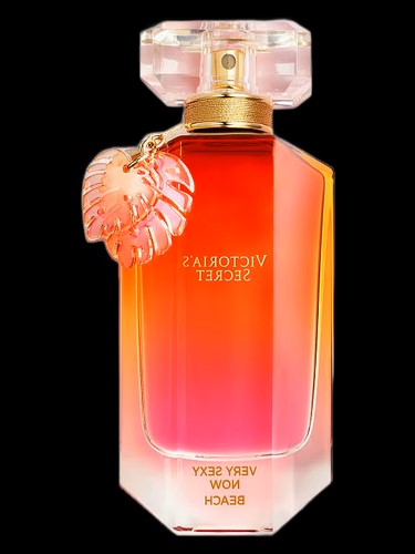 2249- VERY SEXY NOW BEACH VICTORIA SECRET