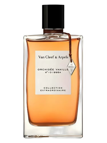 2231- ORCHIDEE VANILLE VAN CLEEF ARPELS