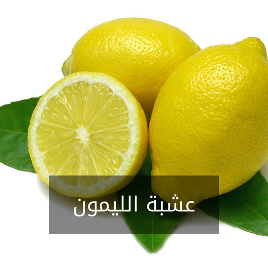 E12- عشبة الليمون