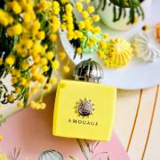 A056- LOVE MIMOSA عطر