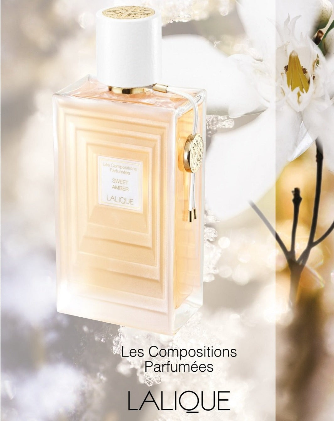 A035- SWEET AMBER عطر